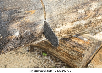 A single black chainsaw cuts through a large thick gray tree log on a summer street