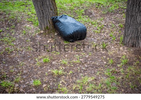 Single black garbage bag left in forest park after cleanup work, abandoned outdoor waste. Concept: waste accumulation