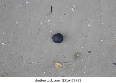 Single Black Pebble on Sandy Beach Surrounded by Natural Debris - Powered by Shutterstock