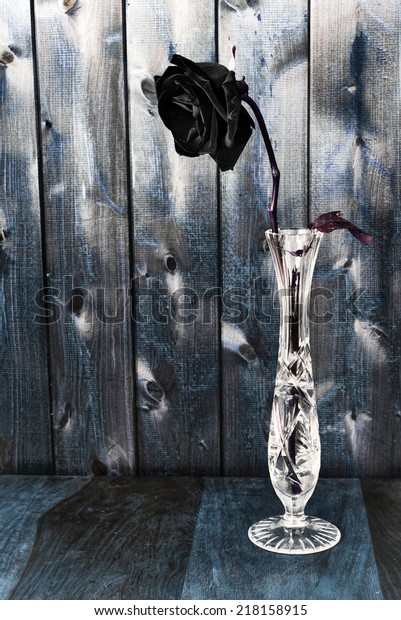 Single Black Rose Glass Vase On Stock Photo Edit Now 218158915