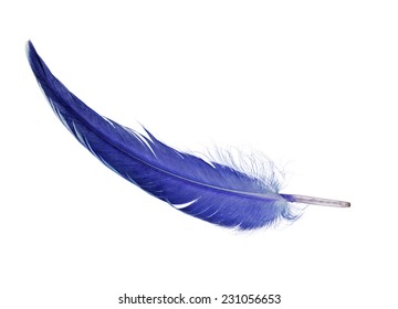 Single Blue Feather Isolated On White Background