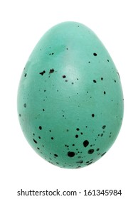 single blue spotted egg isolated on white background