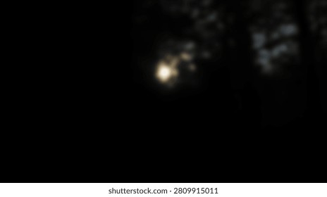 A single bright light source illuminates the dark night sky, partially obscured by blurred dark foliage, creating a mysterious and ethereal atmosphere.