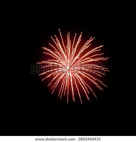 A single, bright red firework bursting into a classic starburst shape, perfectly isolated against a pitch-black night sky during a celebration.