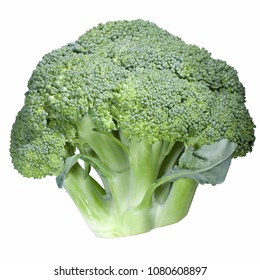 A Single Broccoli Crown On White Background