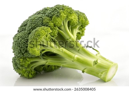 Single Broccoli Head with Stalk on Isolated White Background