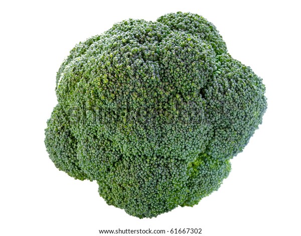 Single Broccoli Isolated On White Stock Photo (Edit Now) 61667302