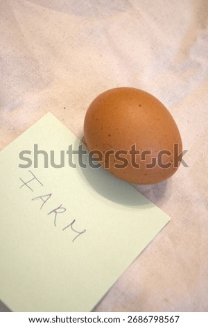 Single brown chicken egg placed next to handwritten word Farm on white paper. Natural composition symbolizing countryside life and traditional farming.