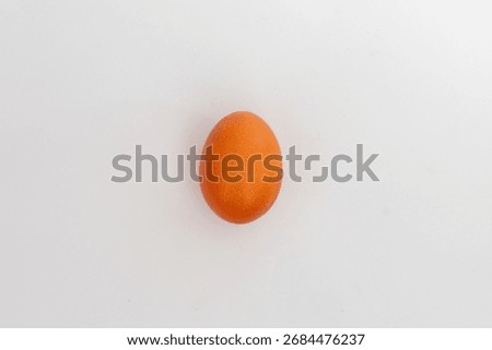 A single brown egg, centered and isolated on a clean white background, symbolizing food, nutrition, and natural ingredients