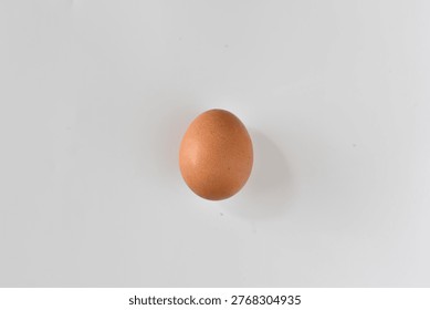 Single brown egg centered on white surface, whole and unbroken, minimal composition emphasizing simplicity and natural form.
