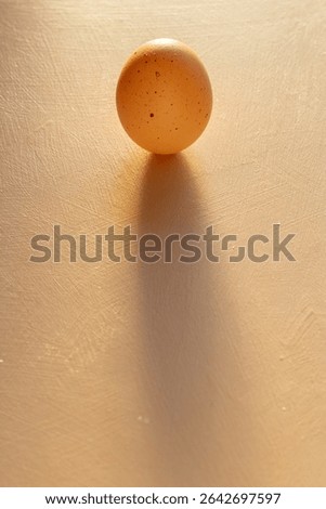 Single Brown Egg with Long Shadow on Textured Surface in Warm Light. Symbolic Egg Representing Fertility and New Life