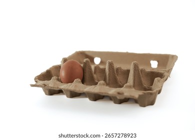 A single brown egg is placed in one compartment of an empty paper egg carton, surrounded by empty spaces, creating a minimalist and clean atmosphere in the kitchen setting.