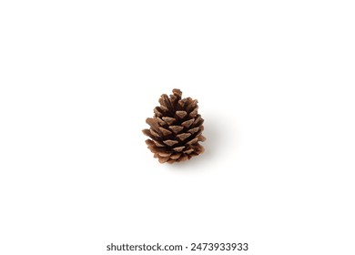 Single brown pine cone on a white background. This simple and elegant composition highlights the pine cone's natural details and texture, suitable for minimalist designs or educational purposes. - Powered by Shutterstock
