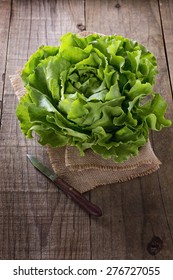 Single butter lettuce head on a burlap cloth over rustic wooden background