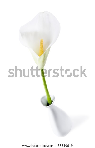 Single Calla Lily Vase Isolated On Stock Photo Edit Now 138310619