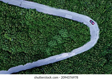 Single Car Driving Trough Forest