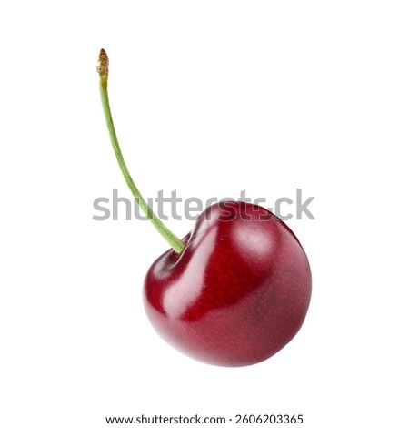 Single Cherry Isolated on transparent background.