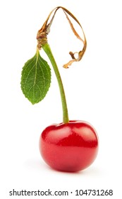 single cherry on white background