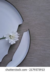 Single Chrysanthemum Flower Lay On The Broken Plate. White Daisy Over White Dining Plate. Broken Dreams And Loneliness.