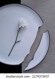 Single Chrysanthemum Flower Lay On The Broken Plate. White Daisy Over White Dining Plate. Broken Dreams And Loneliness.