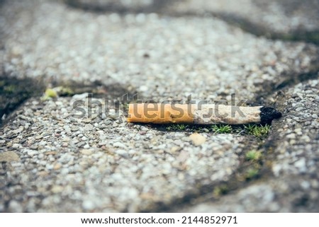 single cigarette stub on the street in selective focus
