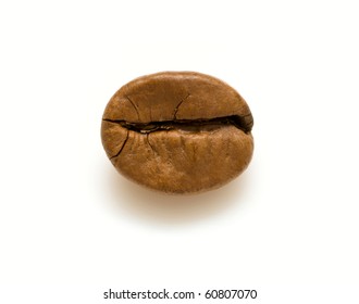 Single Coffee Bean