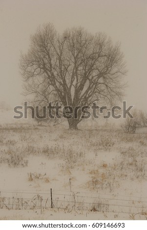 Similar – Foto Bild Winterliches Stoppelfeld