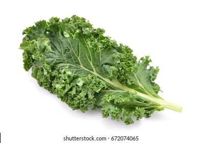 Single Curly Kale Leaf Isolated On White Background 