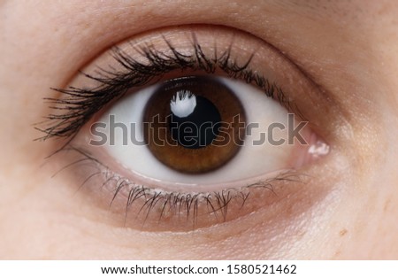 Single dark brown Caucasian eye with mascara. Young women healthy eye close up with catch light. Macro Shot