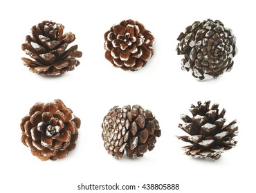 Single Decorational Pine Cone Covered With The Artificial Snow, Composition Isolated Over The White Background, Set Of Six Different Foreshortenings