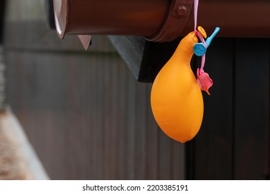 A Single Deflated Balloon After A Party