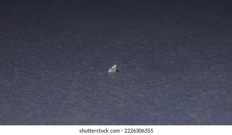 Single Diamond Macro Photo On Dark Blue Background