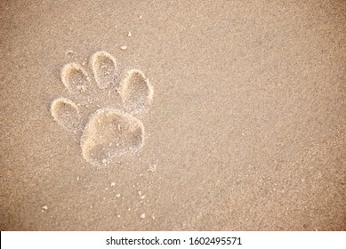 Single Dog Pawprint On The Beach In Textured Brown Sand