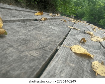 A single dried leaf resting on a wooden bridge gap with a beautiful blurred forest background.