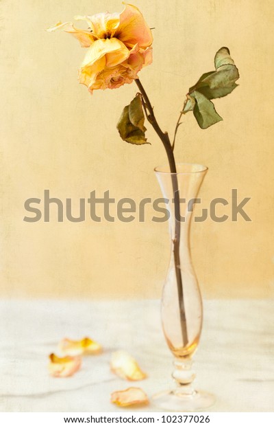 Single Dried Withered Rose Antique Crystal Stock Photo Edit Now