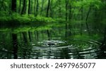 A single drop of water creates ripples in a still pond surrounded by lush greenery