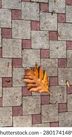 Single Dry Brown Leaf on Geometric Brick Pavement Highlighting the Contrast Between Nature and Urban Design