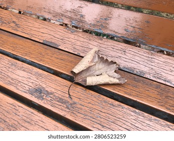 A single dry brown leaf resting on the surface of a wooden bench.