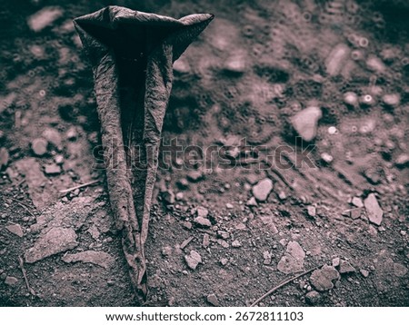 A single dry, menacing-looking leaf, folded into a menacing cone shape, rests on a dark, textured ground. This eerie image evokes feelings of horror, decay, and the sinister side of nature.