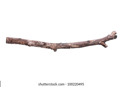 Single Dry Tree Branch - Isolated On White Background