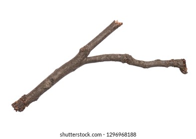 Single Dry Tree Branch Isolated On Stock Photo 1296968188 | Shutterstock