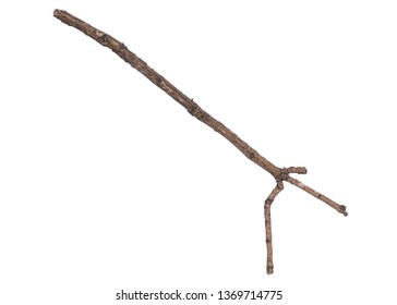 Single dry tree branch, isolated on white background. Stick tree branch from nature for design. - Shutterstock ID 1369714775
