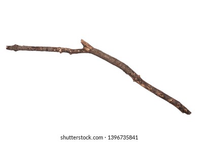 162,145 Stick On Branch Images, Stock Photos & Vectors | Shutterstock