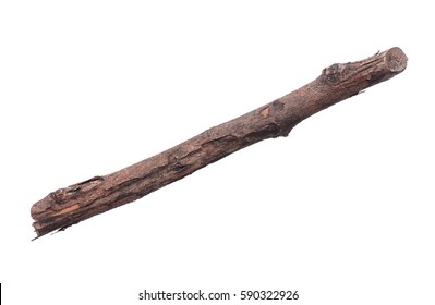 single-dry-tree-branch-isolated-260nw-590322926.jpg