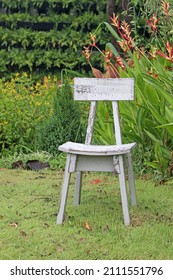 Single Empty Rustic White Painted Wooden Chair On A Lawn In A Tropical Garden. No People.