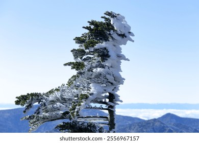 single evergreen tree stands majestically in snowy field, surrounded by serene winter landscape. tree is adorned with icicles, creating picturesque scene of tranquility and beauty - Powered by Shutterstock