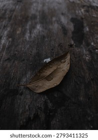 A single, fallen dried leaf resting on a weathered wooden surface, beautifully showcasing the quiet details of nature after a rainfall. Despite being dead, it retains a graceful, slightly curved structure, with its central vein acting as a sharp dividing line down the middle.
What truly brings this leaf to life are the glistening water droplets scattered across its surface. Due to the leaf's hydrophobic properties, the water beads up into perfect, translucent spheres of various sizes. A few larger droplets have pooled together near the center and the edges, reflecting the soft, ambient light and creating a stark contrast against the matte texture of the dry leaf.