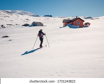 Single female backcountry skiier approaching a small cottage in the Norwegian Mountains at easter at a sunny day