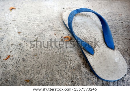 Single flip-flops on the concrete floor. There is space for text. Top view close up details.