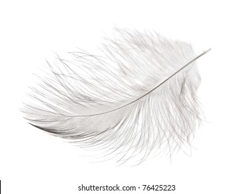 54,892 Down And Feather Images, Stock Photos & Vectors | Shutterstock